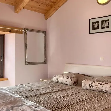 Istrian With Private Pool For Up To 12 Persons Orbanici
